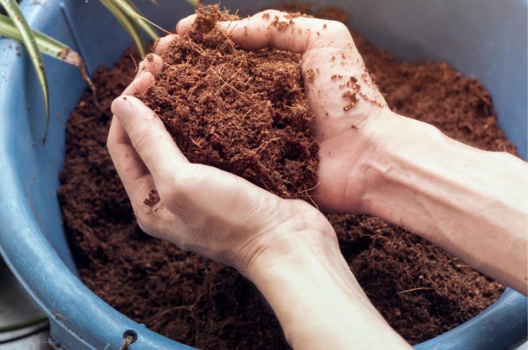 P5N1-3-Tips-for-Growing-in-Coco-Coir-headerimg-01-scaled-1